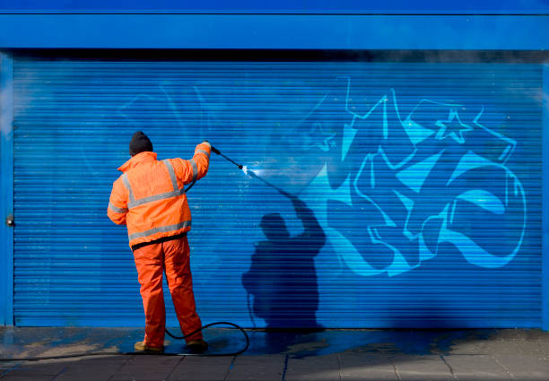 Best Garage Pressure Washing  in Southmayd, TX