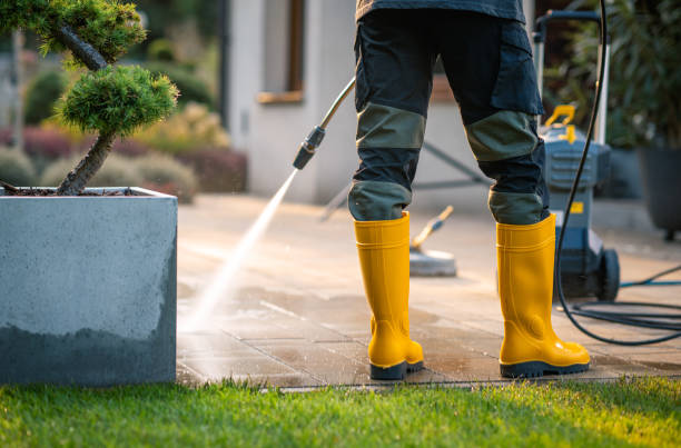 Best Exterior Home Cleaning  in Southmayd, TX